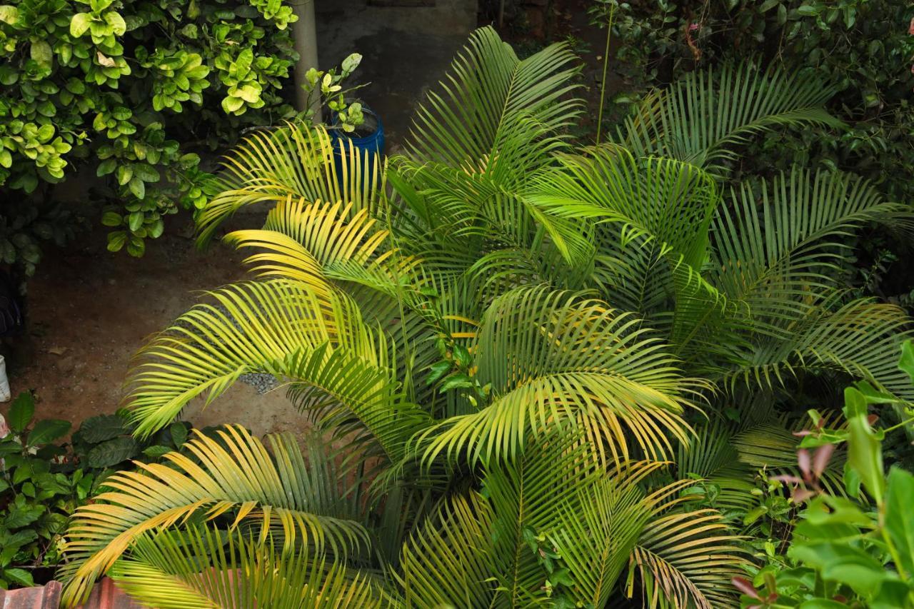 Copperhill- A Luxury Homestay Madikeri Bagian luar foto