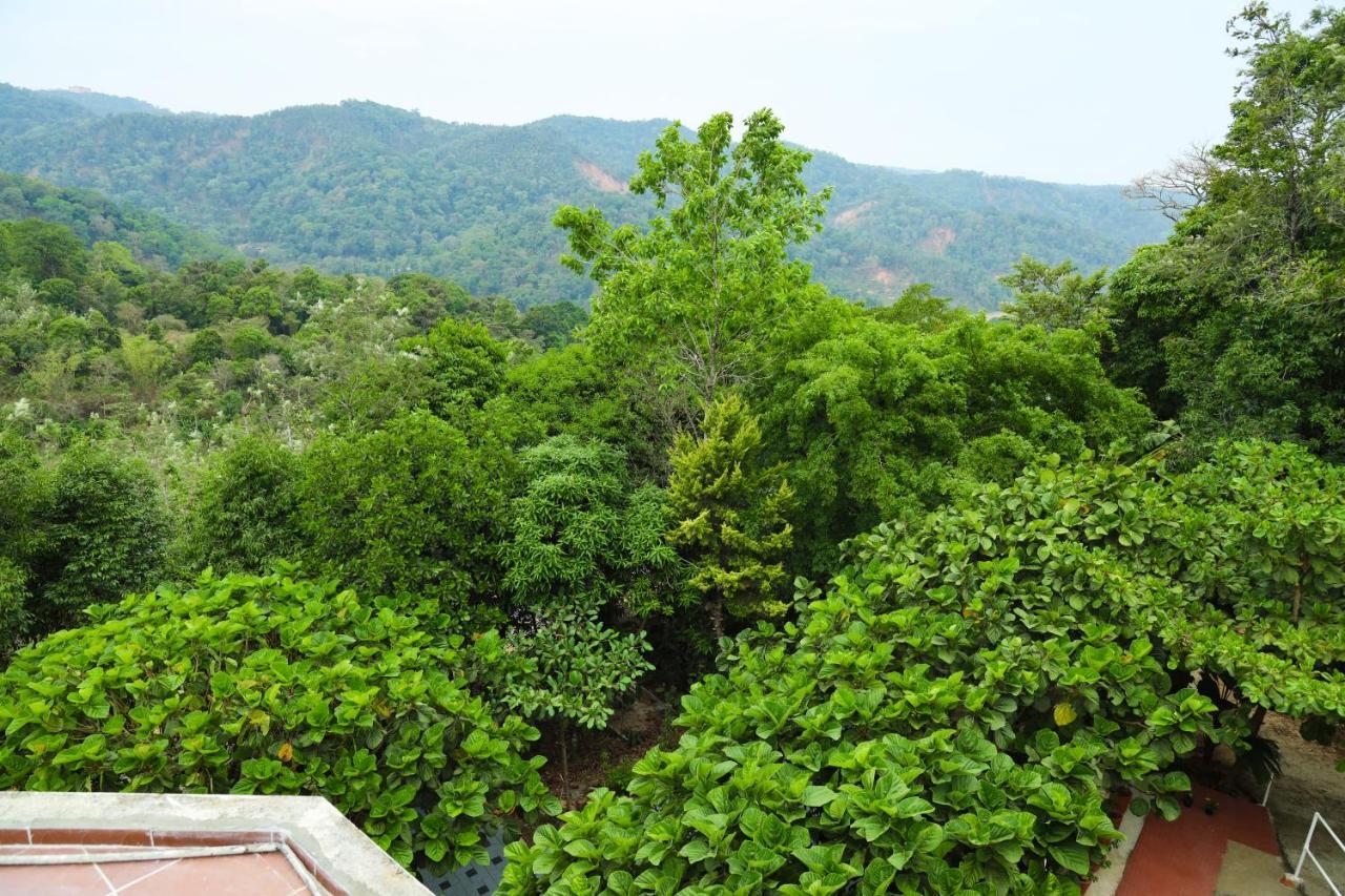 Copperhill- A Luxury Homestay Madikeri Bagian luar foto